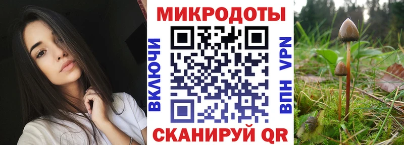 купить  сайты  Белая Калитва  Псилоцибиновые грибы GOLDEN TEACHER 